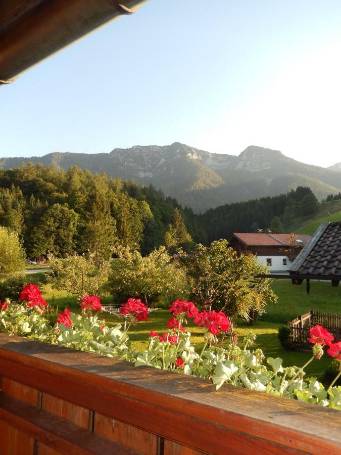 Haus Bergschmied Apartment Inzell